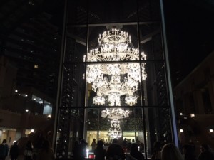image1 (17)