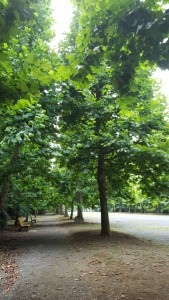 20160707_161800