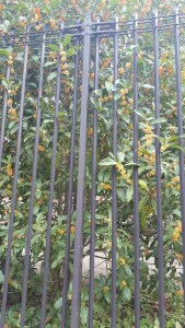 20160930_103828
